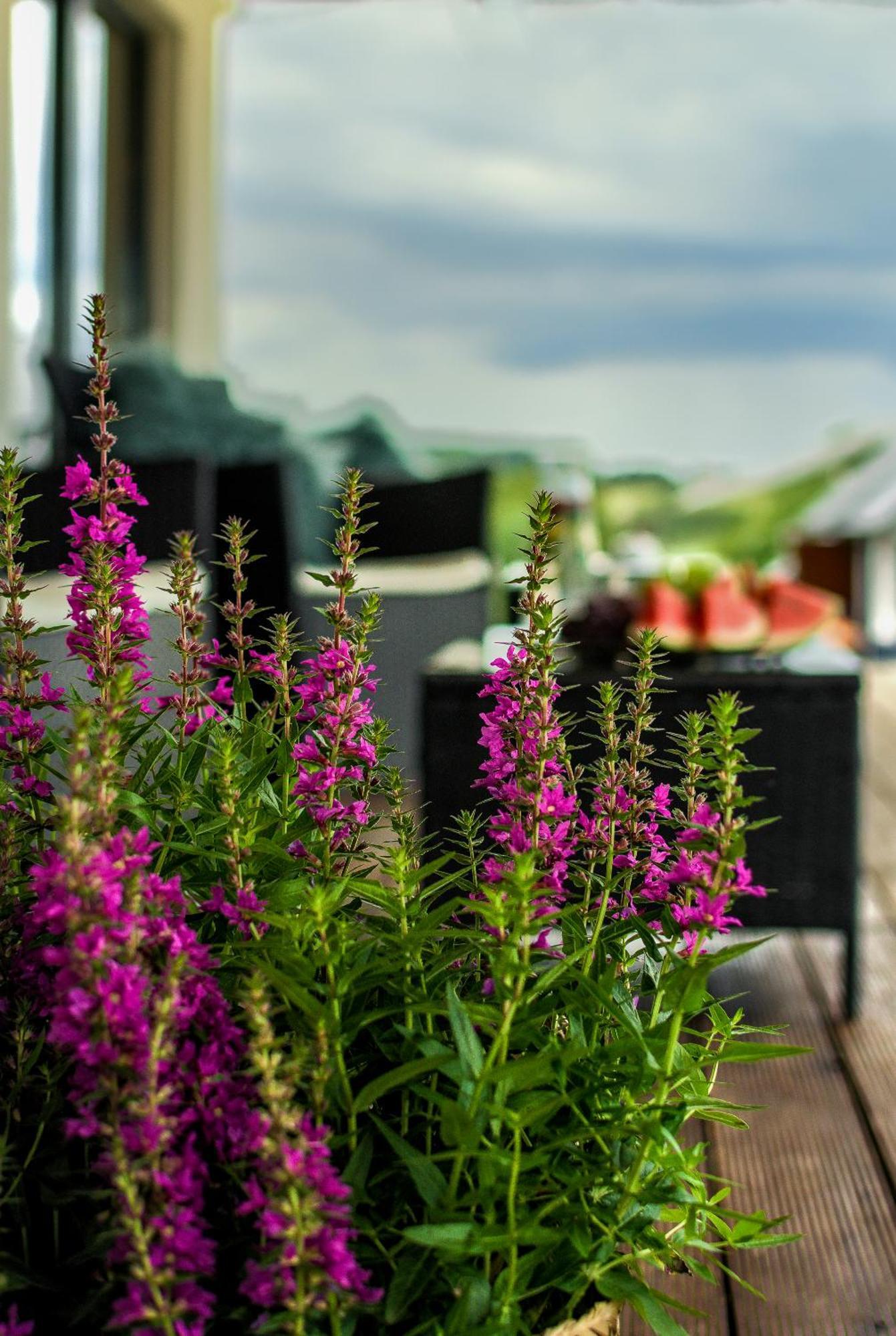 Pajda Mazur - Osrodek Wypoczynkowy Hotel Stare Jabłonki Buitenkant foto